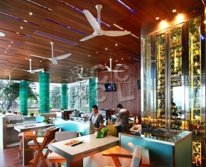 W-Bali-StarfishBloo29_3